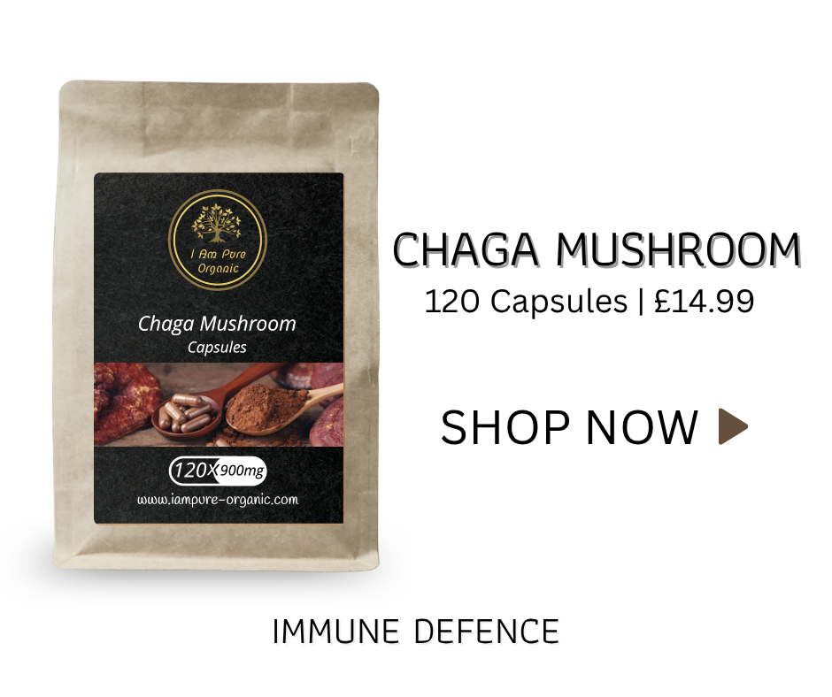 Chaga mushroom offering natural immune defence and powerful antioxidant support