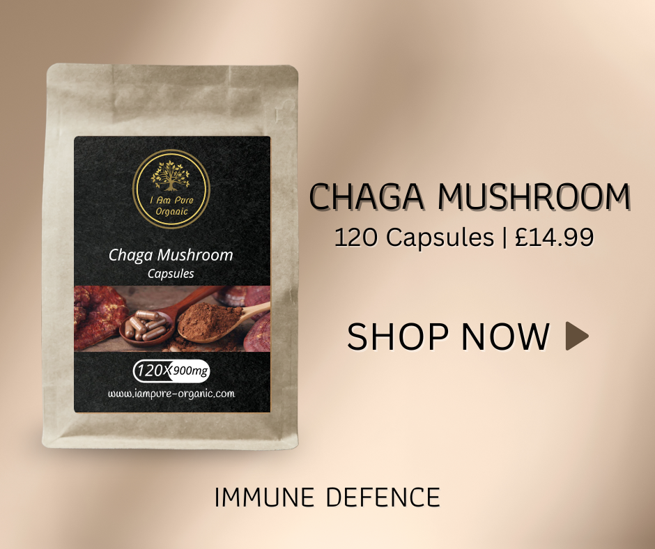 Chaga Mushroom health supplement