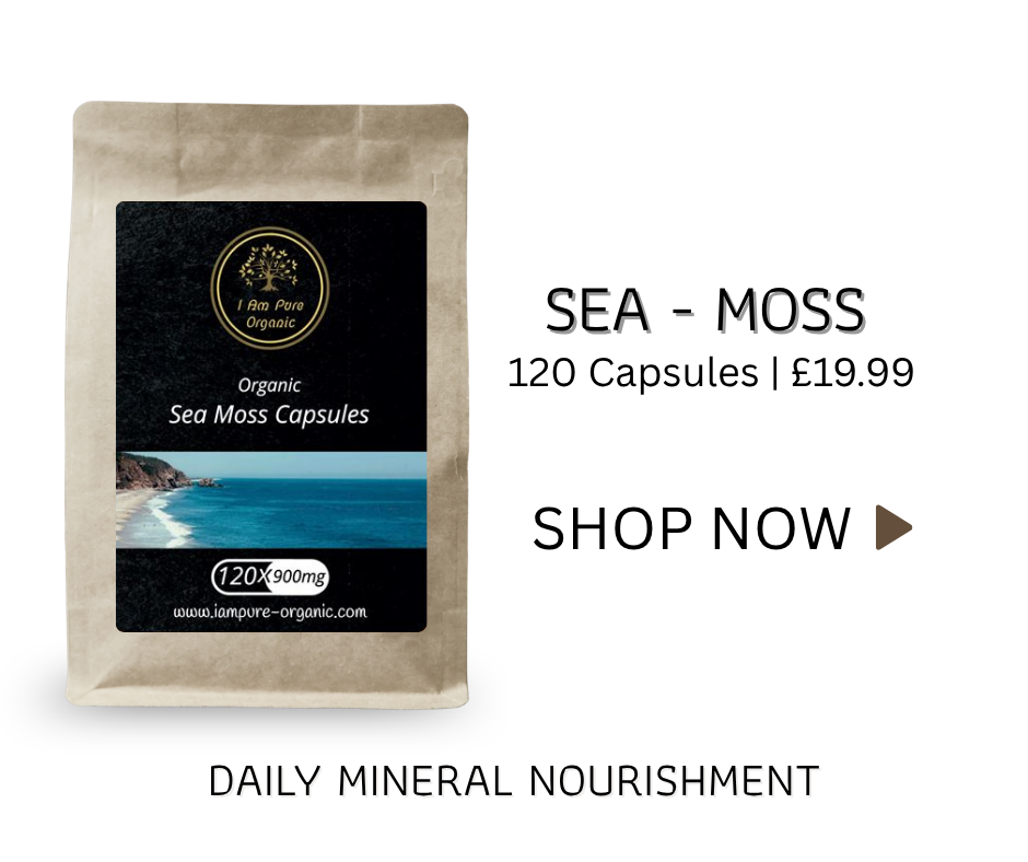 Sea moss capsules providing natural daily mineral nourishment and wellness support